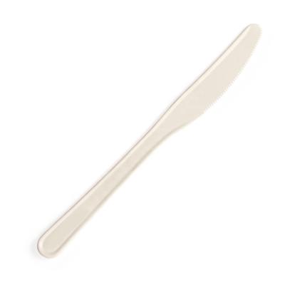 China Wholesale Disposable Porcelain Small Party Plastic Cake Knife With Nature Color for sale