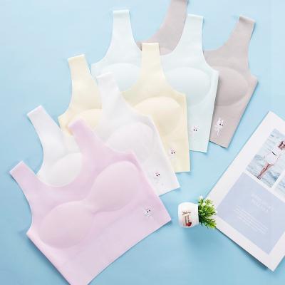 China Pretty Comfortable Student School Girls Bra Cheap Training Raising Teens Prices One Piece Period for sale