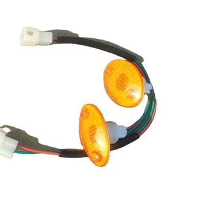 China China E-rickshaw Tricycle Parts Rear Light Small LED Electric Three-wheeler Two Turning Light for sale