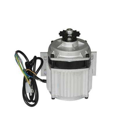 China Golf course or rent china supply e-rickshaw parts 900W DC motor under good conditions for sale