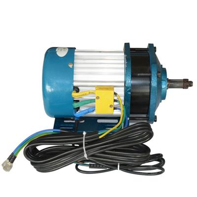 China Golf Course or Rent China Supply 48V 900W Electric Rickshaw DC Motor Sets with Good Quality for sale