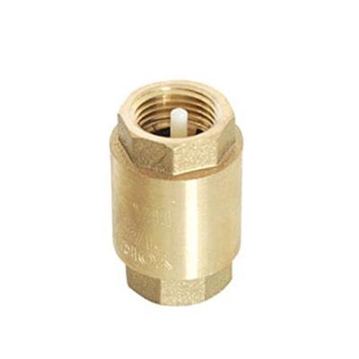 China Suction Valve Brass Spring General Good Quality Core Vertical Check Valve for sale