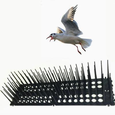 China Sustainable PP Material Bird Repellent Nails Pigeon Durable for sale