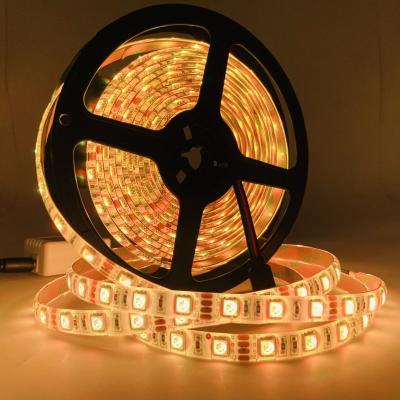 China CE RoHs Xmas Easy Installation IP20 Certification 5M Waterproof Magic Dc 12v 12mm RGB LED Color Changing Smd 5050 Outdoor Flexible Light Strip for sale