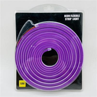 China Warehouse cheap and high quality silicone 6mm 8mm cable purple/PURPLE neon lamp strip neon light kits with power adapter strip light for sale