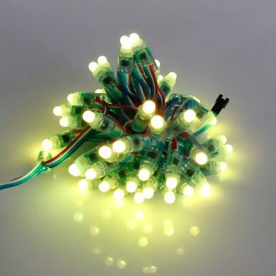 China LANDSCAPE 5v 12mm diffused Slim Digital RGB led pixels module light used for indoor and outdoor Christmas decoration decoration for sale