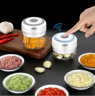 China 100ml/250ml Stocked Onion Chopper Food Processor Garlic Masher mini USB Charging Electric Garlic Cleaver for sale