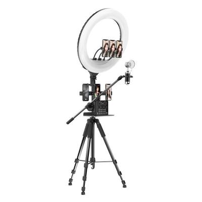 China Mini 10 Inch Adjustable Ring Light Lamp Led Ring Light Live Makeup Photography Visual Ringlight With Tripod for sale