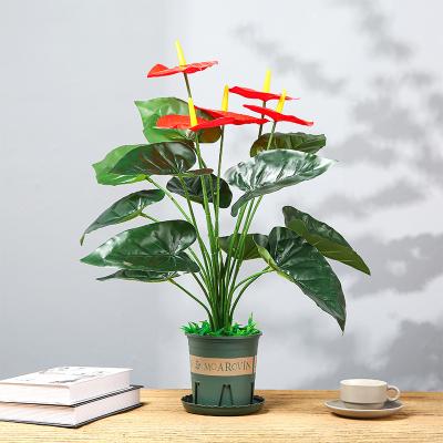 China New Design HZ002 Anthurium Andraeanum Linden Latex Palm Flower Home Decoration Silk Flower Arranging Accessories for sale