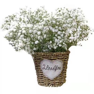 China Babybreath Fashional L-BB004 Factory Direct Sale High Quality Dry Flower Gypsophila Single Stem For Wedding Party Decoration for sale