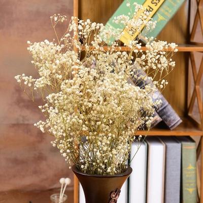 China Preserved Baby's Breath D-BB006 Preserved Flower Dried Babies' Breath For Home Wedding Decoration for sale