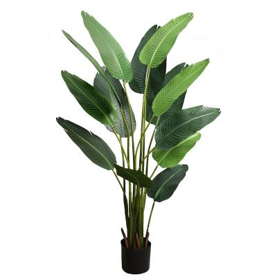 China Fashional PZ002 Home Shop Decor Artificial Palm Traveler Plant Paradise Bird Of Paradise Plant Bonsai Bird for sale