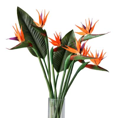 China Artificial Latex Bird Strelitzia Flower Simulation YH028 Eco-friendly Real Paradise Flower Stem Reginae Aiton Touch For Home Wedding Decor for sale