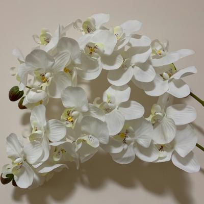 China Fashional Wholesale Home Decor Artificial Silk Butterfly Phalaenopsis Orchid Flowers for sale