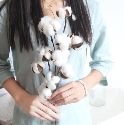 China Wholesale Fashional Real Cotton 10-Heads Flower Artificial Dyed Cotton Bulk For Home Indoor Decoration for sale