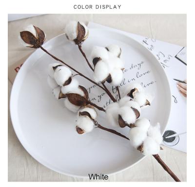 China Fashional INS Style Indoor Artificial Dried Decoration 10Heads Cotton Flowers Stem for sale