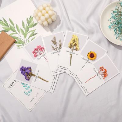 China Wholesale Eco-friendly Dry Flower Thanksgiving Blessing Customized Mother's Day Christmas Card Greeting Card With Dry Flower YZ005 for sale