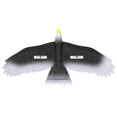 China 3 Led Light Easy Play 56cm Epp Material Electric Rc Eagle Glider With Remote Outdoor Play for the Whole Family for sale