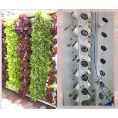 China Lieferung Hochwertiges Garten-Kits für Zuhause Aeroponic Hydroponic Grow Tower zum Verkauf zu verkaufen