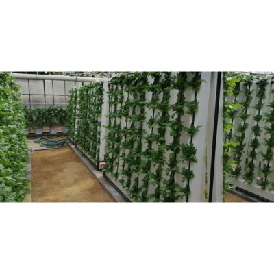 China Indoor Hydroponic Growing Systems Home Zip Verticaal Hydroponisch systeem Te koop