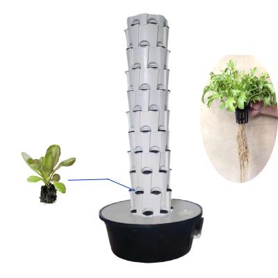 Cina Indoor Outdoor Hydroponic Ananas Tower Grow Systems Giardino Agricoltura Cultura senza suolo Verticale Hydroponic Grow Tower in vendita