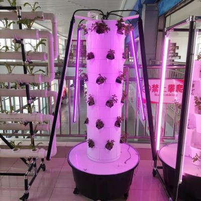 China Hydroponisches Anbausystem für Gemüse und Erdbeeren mit LED-Licht zu verkaufen