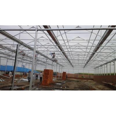 China Single/Double Layer Agriculture Greenhouse Hydroponics With Plastic Film for sale