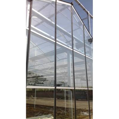 China Agriculture Multi-Span Glass Greenhouse Hydroponic Greenhouse White for sale