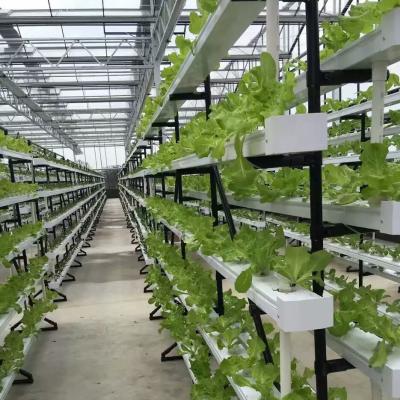 China sistema de cultivo hidropónico comercial NFT estufa canal hidropónico NFT à venda