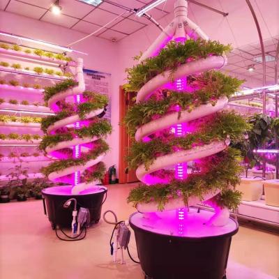 Chine Système de culture hydroponique verticale en jardin intérieur à double hélice à vendre