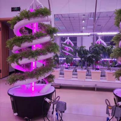 China Vertical Spiral Plant Grow Hydroponic Tower Cultivation garden aeroponics System for sale