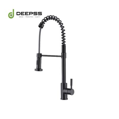 China Pull Out Spray Dsspss CE ACS Kitchen Faucet Hot Selling Kitchen Sink-kitchen for sale