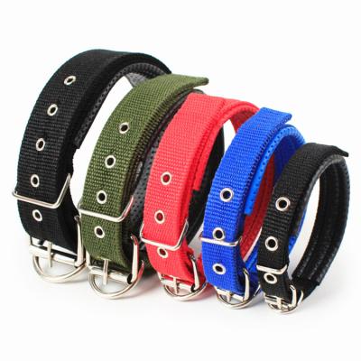 China Nect Sustainable Pets Product Soft Nylon Foam Sponge Protective Dog Collar Bulk for sale