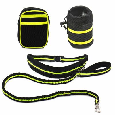 China Wholesale 4Pcs/Set Reflex Pet Dog Reflex Belt Adjustable Viable Adjustable Handrails Traction Free Dog Leash With Bag for sale