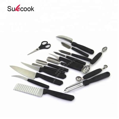 China Viable Promotion Gift 16 Pieces Vegetable and Fruit Stainless Steel Carving Knife Tool Kit for sale