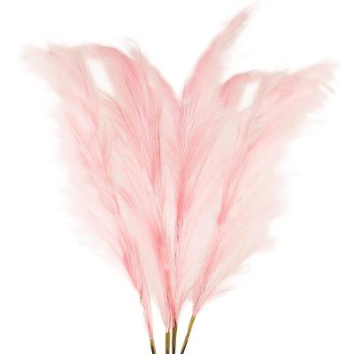 China Factory natural supply new high quality touch fashion home wedding decoration natural soft dry pampas grass for sale