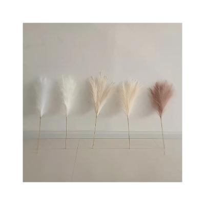 China Nordic Ins Style Factory Supply Wedding Bouquet Latest Trend Long Stem White Artificial Pampas for sale