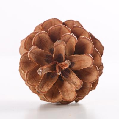 China Natural Wooden Cone Hang Pine Cone Christmas Tree Ornament Decoration Events Real Artificial Pine Cones Pendant for sale