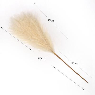 China Events Decoration Custom Highly Dried Reed Natural Artificial 9 Fork 70CM Simulation Pampas Grass for sale