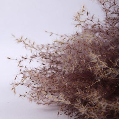 China Events Decoration Pure Natural Dried Flowers Pulling Props Dried Flower Reed Buddha Decoration for sale