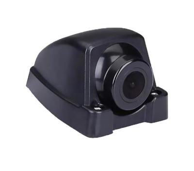 China Factory Selling Variety Widely Indoor/Outdoor Rear Car Security Rear Camera for sale