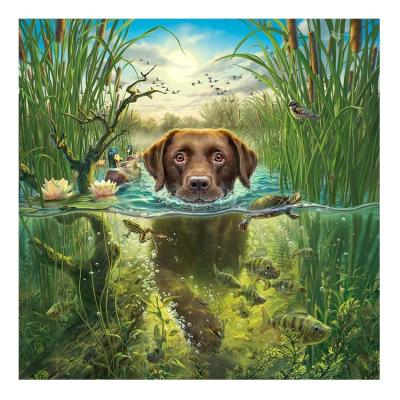 China Home decoration; Gift ; DIY Hobby Ever Opens Handmade Diamond Painting Dog Swim River Grass Fish Resin Full Square Stone 3F2221 for sale