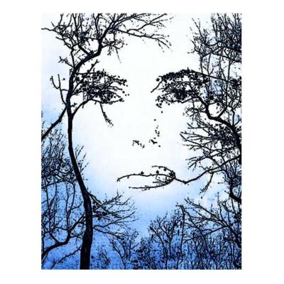 China Never Full Moment Diamond Painting Tree Woman Face Mosaic Decoration Drill Gift Craft Impressionist Square Art 3F1528 for sale