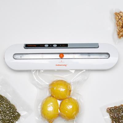 China Best Portable Car Food Vacuum Sealer Multi Function Automatic Food Vacuum Sealers for sale