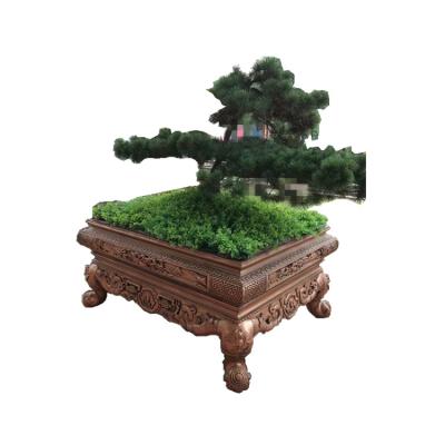 China Noble Precast Garden Planter Bonsai Decorative Concrete Mold For Sale for sale