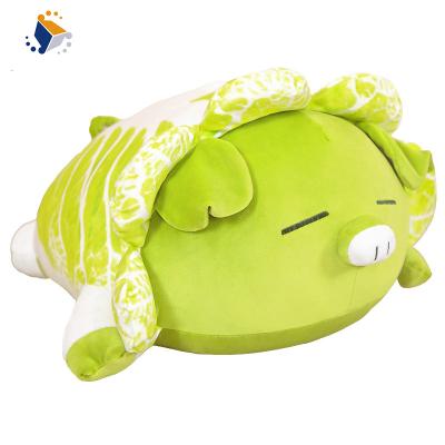 China Vmanufacturer Hot Selling Cute Pig Kids Gift Plush Toy Cabbage Doll Vegetable Pig Vegetable Wholesale Pig For Kids Baby Gifts for sale