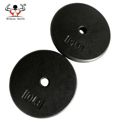 China Cross Fit Weightlifting Training 5, 7.5, 10, 15, 20, 25 lbs Cast Iron Standard Weight Flat Plates for sale