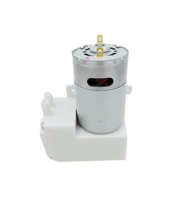 China 2021 automotive industry reversible china 12v 24v oilless mini vacuum pump for suction machine for sale