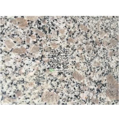 China Modern Pearl G383 Flower Granite for sale