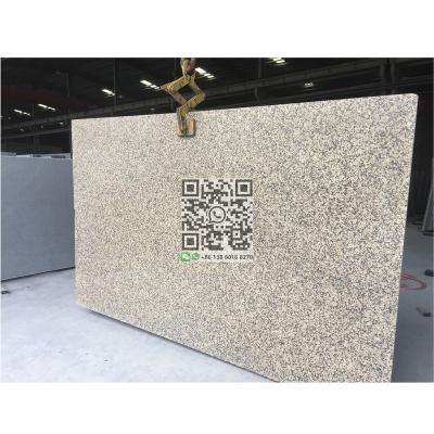 China Modern Chrysanthemum Yellow Granite for sale